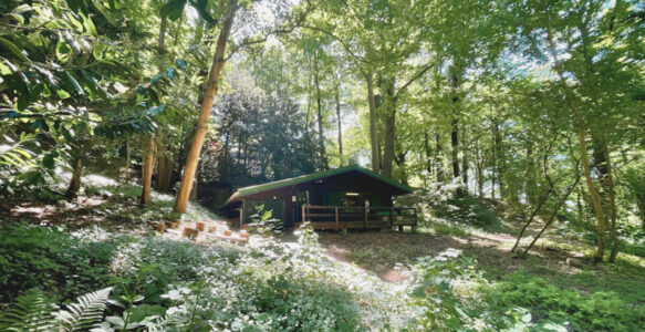 Die WaldBude sucht noch Workshop-Leiter:innen