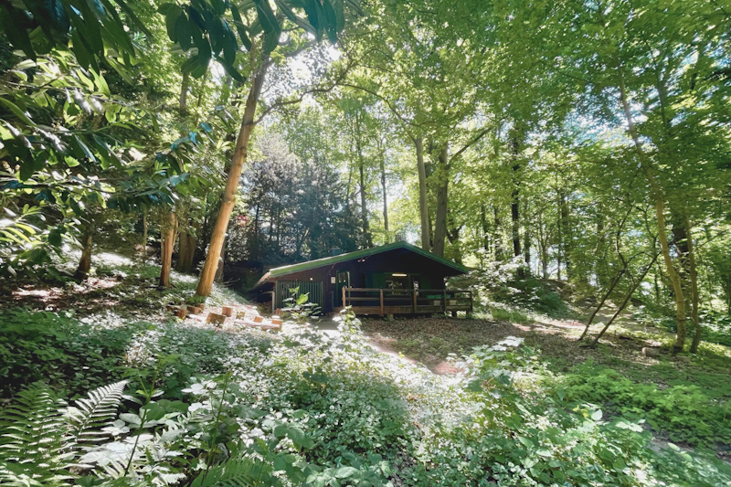 Die WaldBude sucht noch Workshop-Leiter:innen