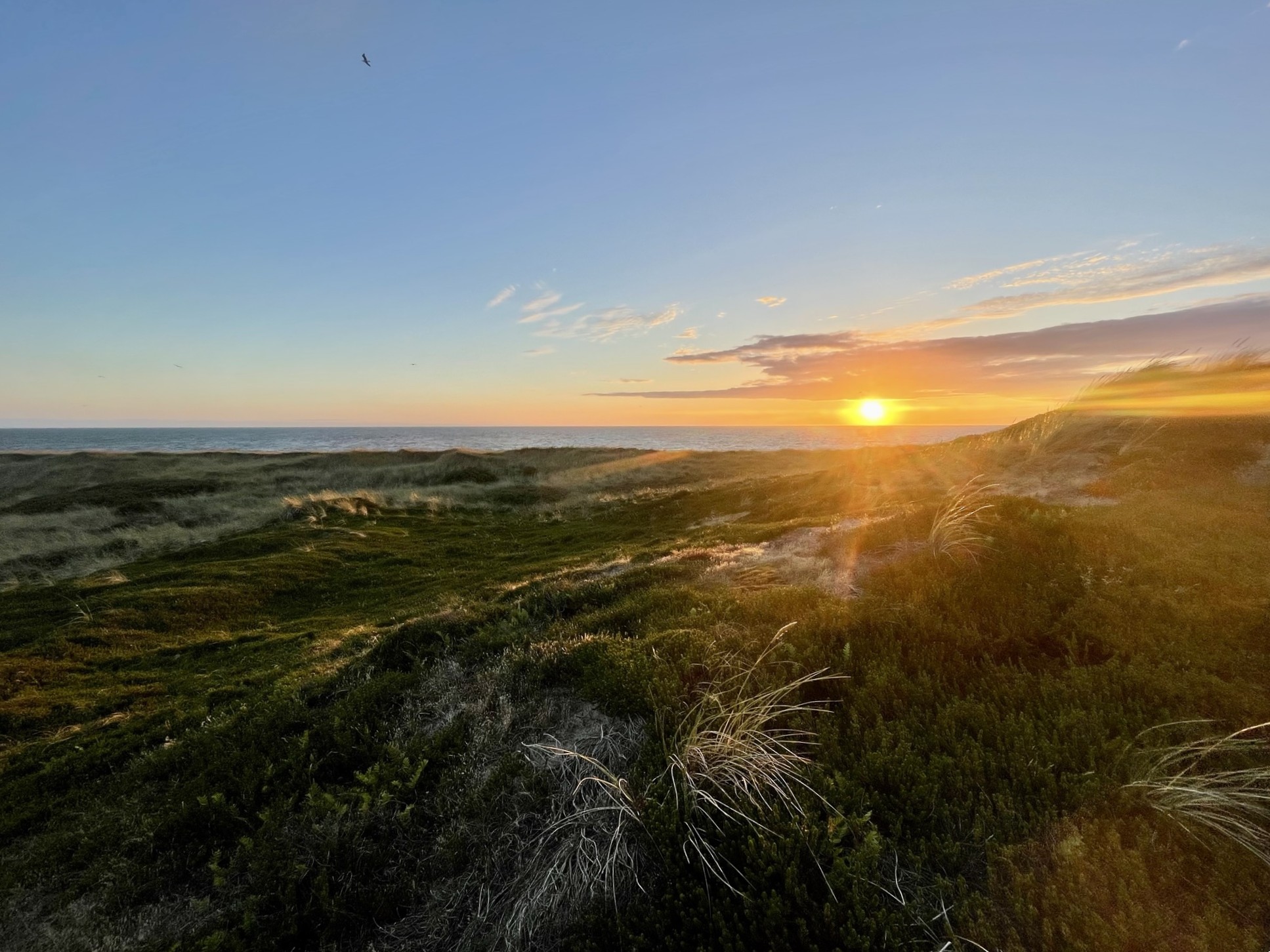 Duenenhof Sylt